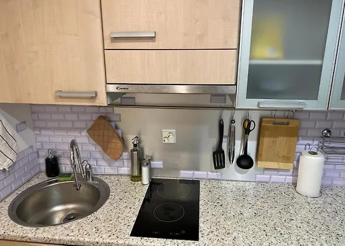 Cozy 3-room Penthouse In The Very Heart Of 公寓 塔林