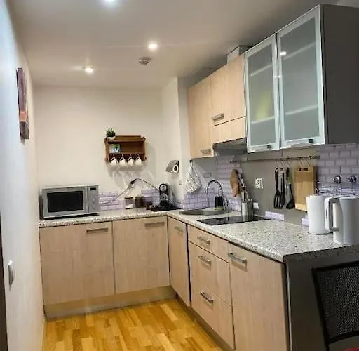 Cozy 3-room Penthouse In The Very Heart Of Daire Tallinn