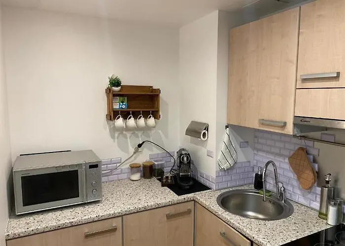 Cozy 3-room Penthouse In The Very Heart Of * Talin